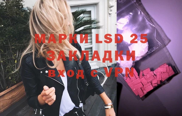 дмт Аркадак