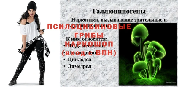 дмт Аркадак