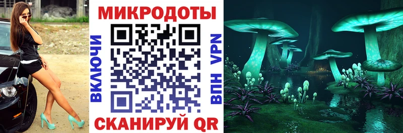 Псилоцибиновые грибы Cubensis  купить   Саяногорск 